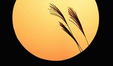 无法抹去的烛光