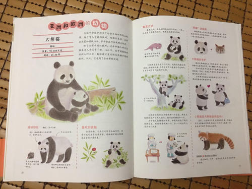 我用语言交朋友