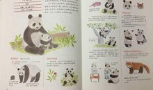 我和语言文字交朋友