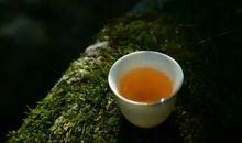 昙花一现滋润了我的心田