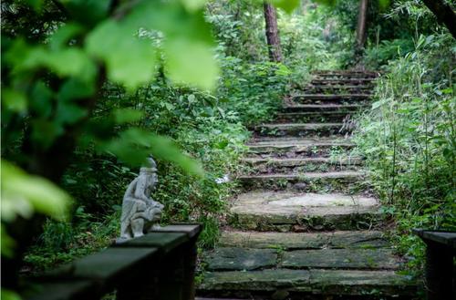 水检