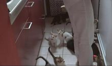 做“官”的烦恼