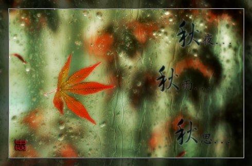 美好的秋夜