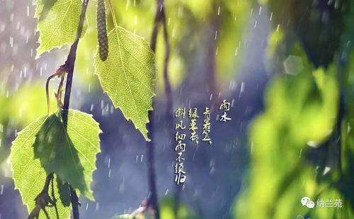 保湿春雨