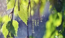 润物春雨