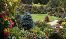 小花园里的四季