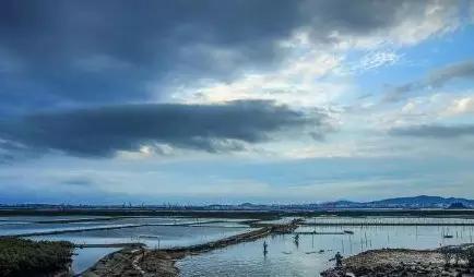 那不幸的夏天