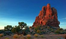 令人渴望的绿色生活