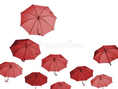 雨伞的空间滋养了我的心