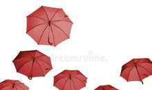 伞的空间滋润了我的心田