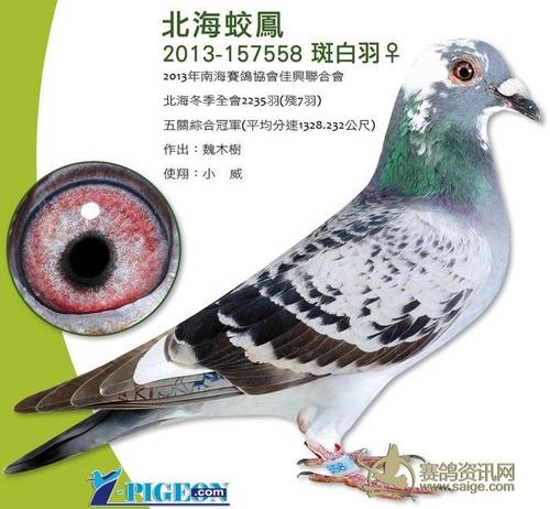 坚持不懈，取胜