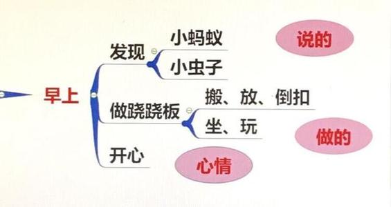 万能蛋壳