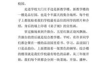 我们班的小能人作文400字