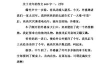 我的假日生活作文600字