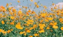 世界很美好世道很艰难