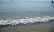 渴望闪光的浪花