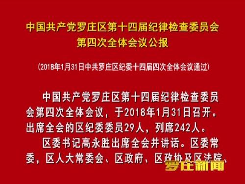 我是纪律委员会