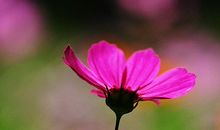 时光在生命中游走