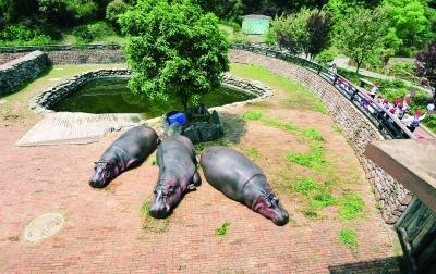 长沙野生动物园