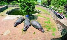 长沙野生动物园