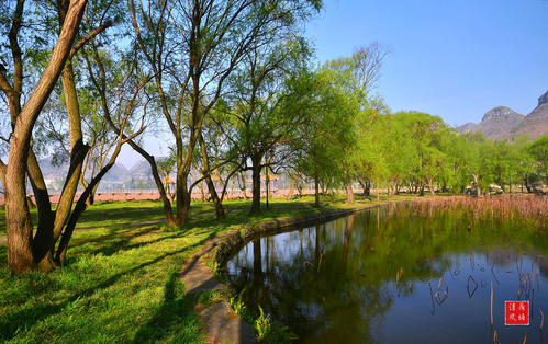 湖岸