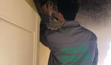 毒害之深，不容小觑