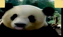 两种享受两不误