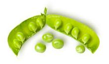 《豌豆荚里的五颗豌豆》续写