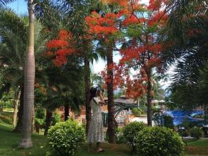 妈妈的平凡爱情