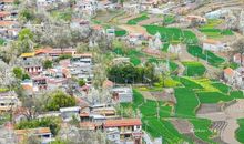 春天进入了我的视线