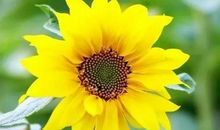 疼痛也是一笔财富