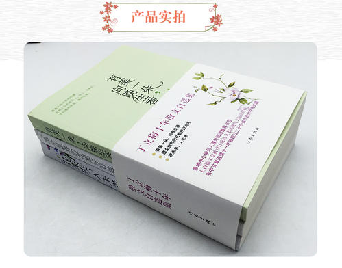 丁立梅散文集的思考