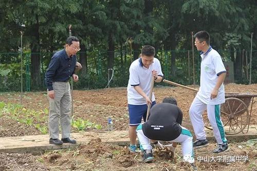 工作成长