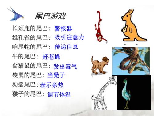 如果人有尾巴