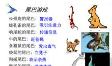 假如人长了尾巴