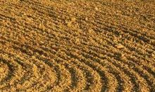 来自土地的控诉