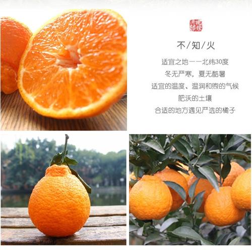 品尝橘子