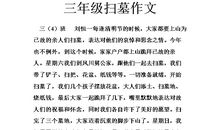 中华传统节日春节作文300字三年级下册