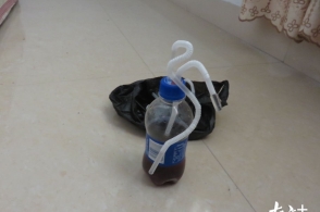 我们盛开