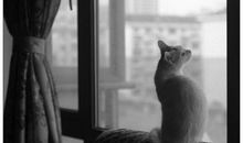 外面的世界很精彩