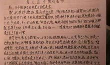 我得到了关心作文500字
