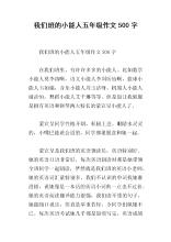 我们班上一位才华横溢的500字论文