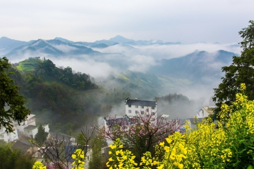 故乡春景