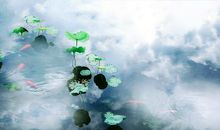 我努力读懂书中的你