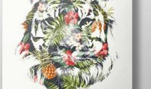 心有猛虎，细嗅蔷薇