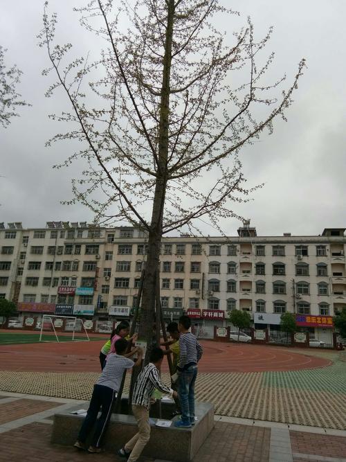 记住课外活动