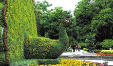 绿色兰州靠大家