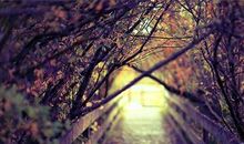 和自然一起走过的日子