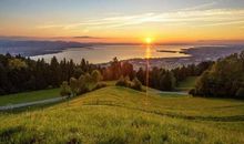 让欣赏充满阳光