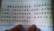 记一件有意义的事作文